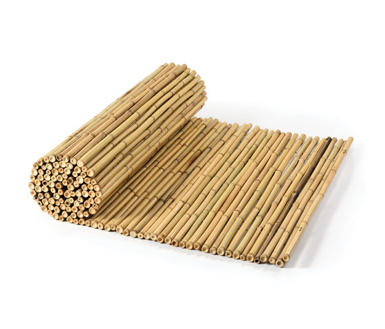 Bamboos | Natural bamboo 20-24mm "white quality" | Toitures | Caneplexus