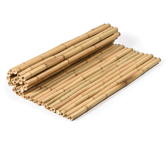 Bamboos | Natural bamboo 40-45mm "white quality" | Roofing systems | Caneplex Design