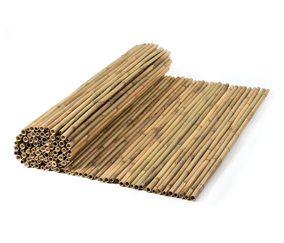 Bamboos | Tonkin Bamboo 24-28mm | Toitures | Caneplexus