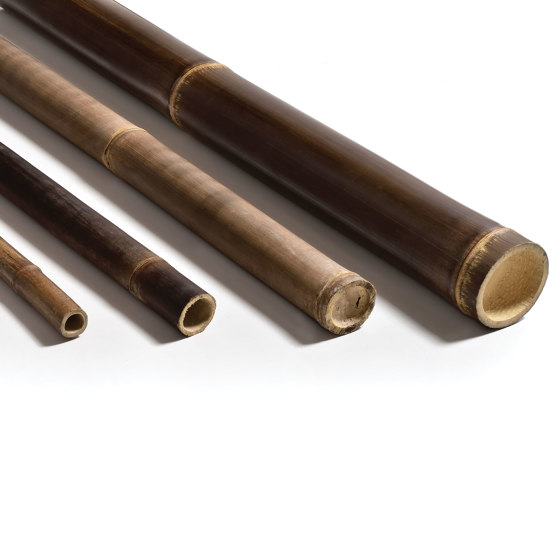 Poles | Bamboo Java | Bambus | Caneplex Design