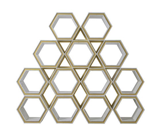 Freestanding | Hexagon Bookcase | Regale | Homedesign