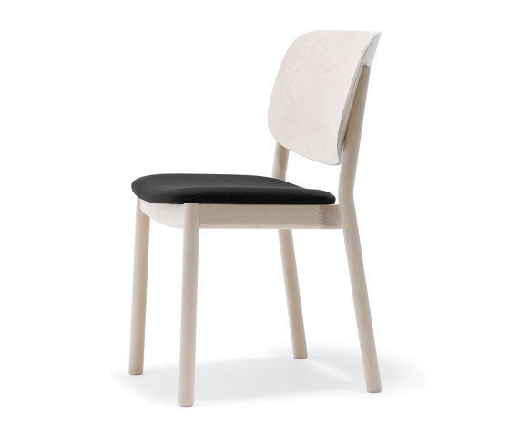 Anima Chair | Sedie | Stolab