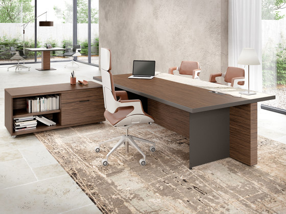 Oasi desk | Desks | ALEA