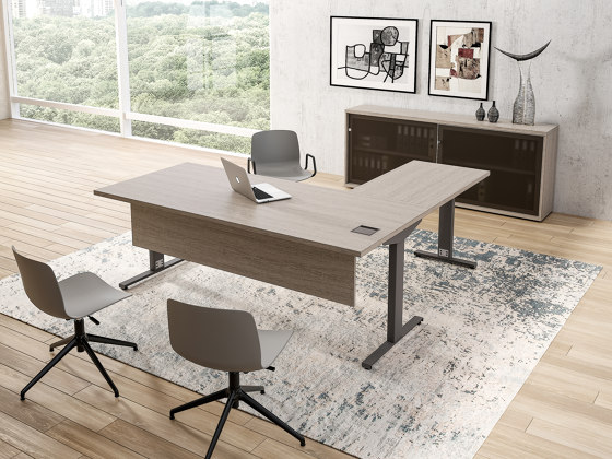Ortho desk | Desks | ALEA