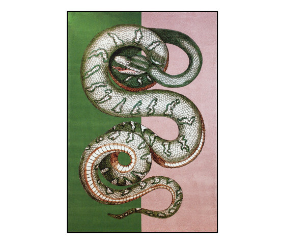 Bestia | Carpet Serpentes 1 | Tappeti / Tappeti design | Sula World