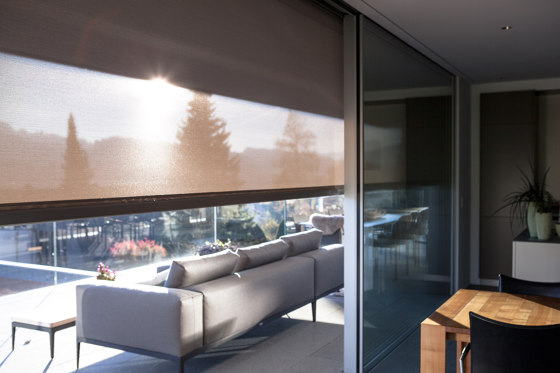 Frameless sliding windows with shading | External venetian blinds | swissFineLine