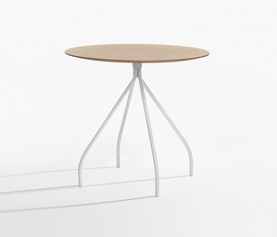 Cordusio | Contract tables | IOC project partners