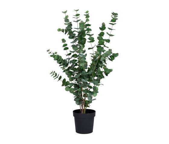 Artificial Plants | Eucalyptus in a pot large | Artificial plants | Götessons