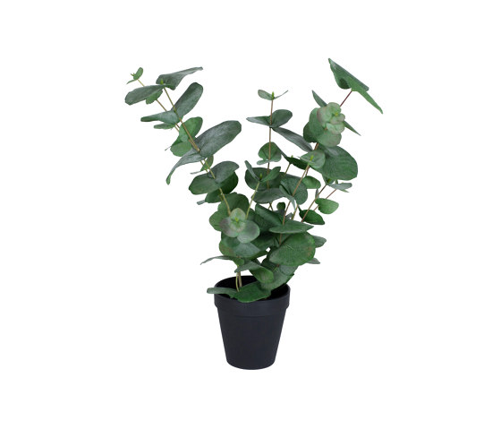 Plantas Artificiales | Eucalyptus pequeño en una maceta | Plantas artificiales | Götessons