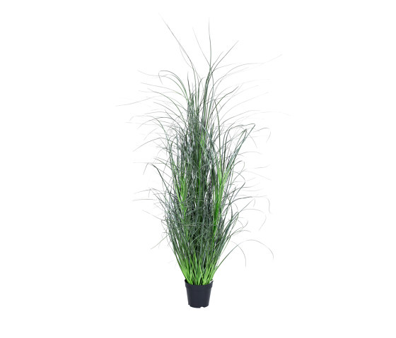 Artificial Plants | Grass Miscanthus | Piante artificiali | Götessons