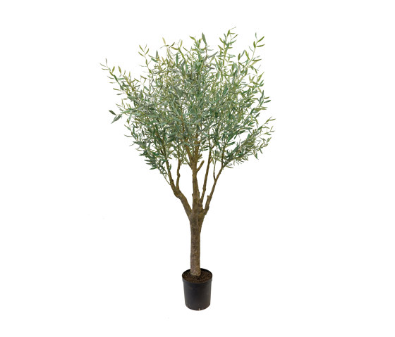 Künstliche Pflanzen | Olivenbaum | Kunstpflanzen | Götessons