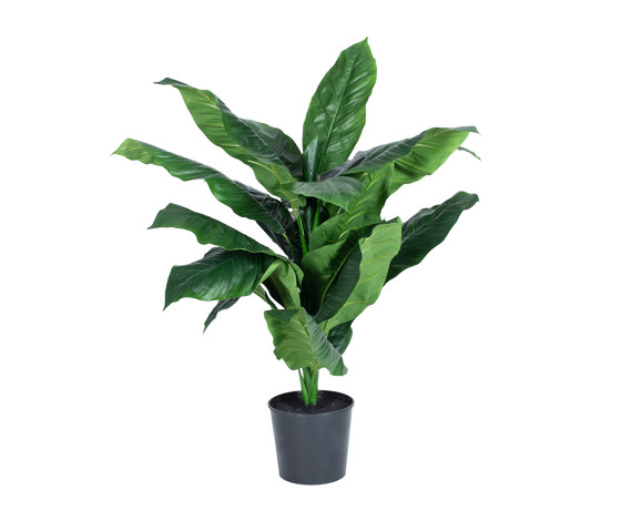 Artificial Plants | Peace Lily | Piante artificiali | Götessons