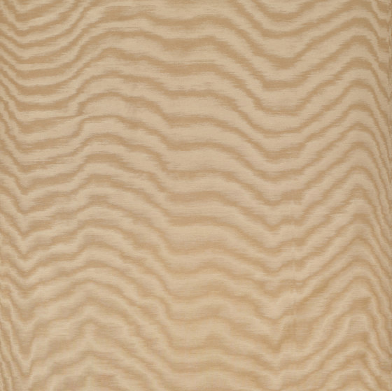 Amoir Fou col.1 sabbia | Upholstery fabrics | Dedar
