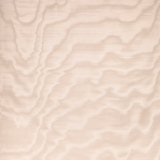 Amoir Fou col.28 pétale | Upholstery fabrics | Dedar