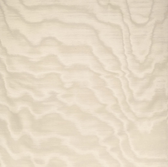Amoir Fou Wall col.4 mastice | Revêtements muraux / papiers peint | Dedar