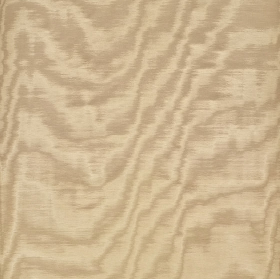 Amoir Fou Wall col.5 dorato | Revêtements muraux / papiers peint | Dedar
