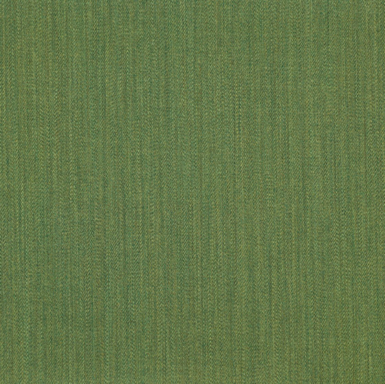 Buonfresco col.12 kiwi | Tissus de décoration | Dedar