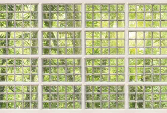 Atelier 47| Tapete | Digitaldruck DD117955 Bricksofglas1 | Wandbeläge / Tapeten | Architects Paper