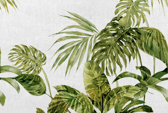 Atelier 47 | Wallpaper DD118285 Tropicalleave1 | Wall coverings / wallpapers | Architects Paper