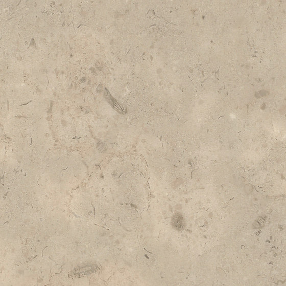 Signature Stones - 1,0 mm | Fossil Limestone | Synthetic panels | Amtico