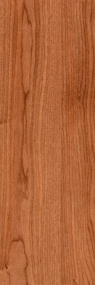 Signature Woods - 1,0 mm | American Cherry | Kunststoff Platten | Amtico