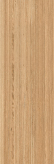 Signature Woods - 1,0 mm | Fused Birch | Lastre plastica | Amtico