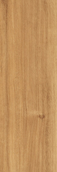 Signature Woods - 1,0 mm | Golden Oak | Kunststoff Platten | Amtico