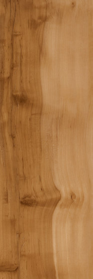 Signature Woods - 1,0 mm | Applewood | Kunststoff Platten | Amtico