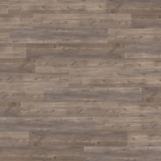Signature Woods - 1,0 mm | Harbour Pine | Synthetic panels | Amtico