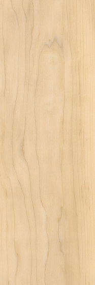 Signature Woods - 1,0 mm | Sugar Maple | Synthetic panels | Amtico