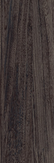 Signature Woods - 1,0 mm | Quill Kohl | Kunststoff Platten | Amtico