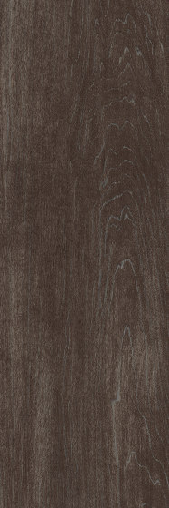 Signature Woods - 1,0 mm | Script Maple Silver | Plaques en matières plastiques | Amtico