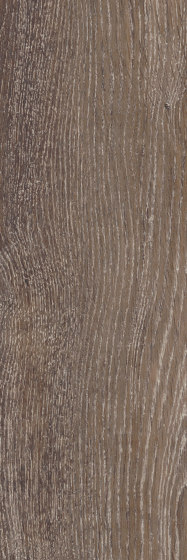 Signature Woods - 1,0 mm | Pilgrim Oak | Kunststoff Platten | Amtico