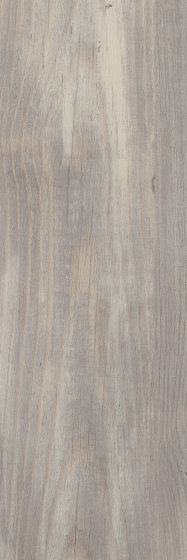Signature Woods - 1,0 mm | Halo Pine | Kunststoff Platten | Amtico