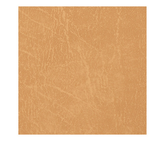 Carrara  | Gold | Faux leather | Morbern Europe
