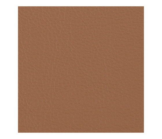 Prodigy | Empire Tan | Faux leather | Morbern Europe