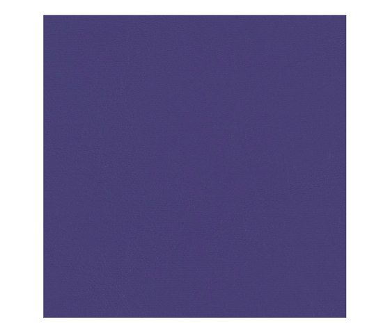 Seabrook | Purple D | Cuir artificiel | Morbern Europe