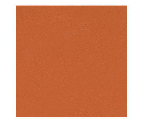Touch | Burnt Orange | Faux leather | Morbern Europe