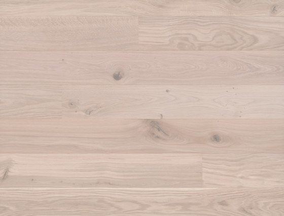 Studiopark Oak Farina 46 | Wood flooring | Bauwerk Parkett