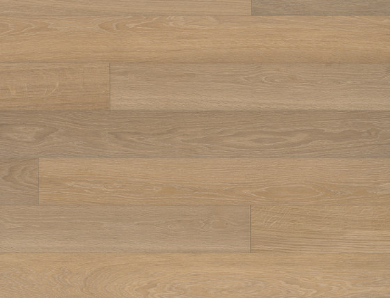 Studiopark Master Edition Oak Flax | Wood flooring | Bauwerk Parkett