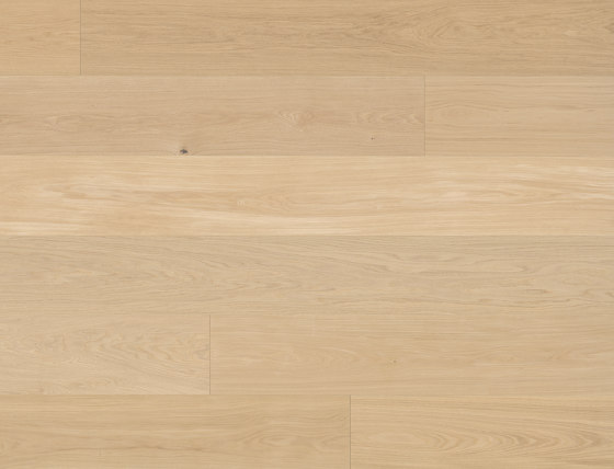 Silverline Edition Oak Crema 14 | Wood flooring | Bauwerk Parkett