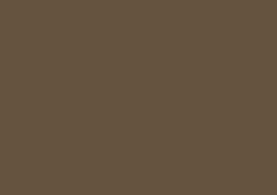 Toffee Brown (S104) | Lastre minerale composito | HIMACS