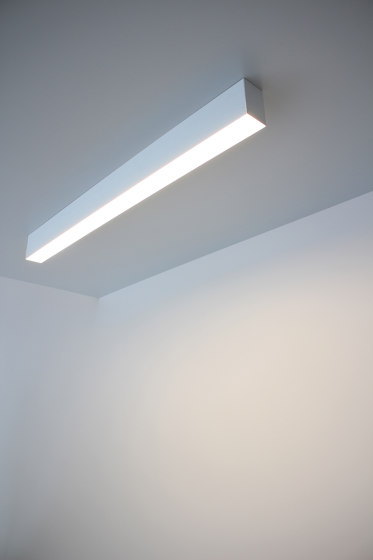 ledline 55 | Ceiling lights | Eden Design