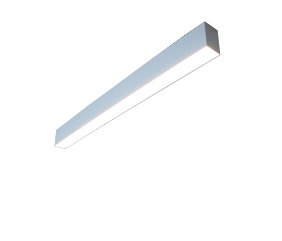 ledline 55 | Lampade plafoniere | Eden Design