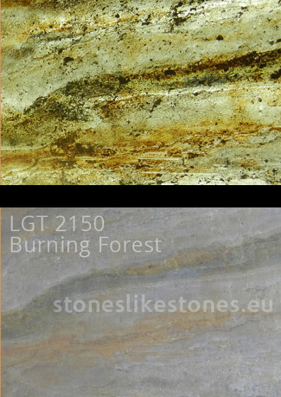 Dünnschiefer LGT 2150 Burning Forest Transluzent | Wand Furniere | StoneslikeStones