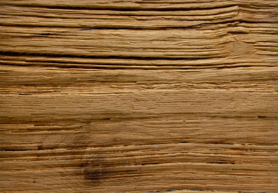 Spalt Old Oak | Wood veneers | VD Holz in Form