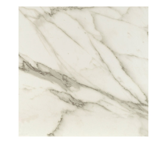 Marble Calacatta | Ceramic tiles | Apavisa