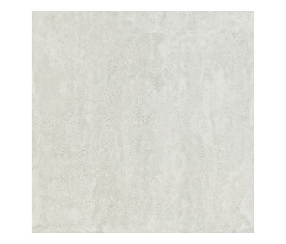 Pelle Grey | Ceramic tiles | Apavisa