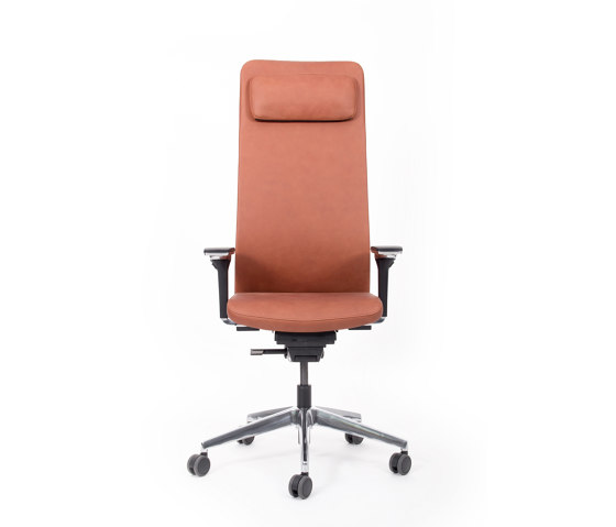 agilis matrix | Office chair | high with headrest | Sedie ufficio | lento