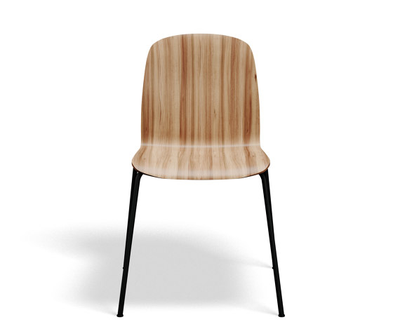 Boston Chair - Elm/Black | Chairs | Askman Design